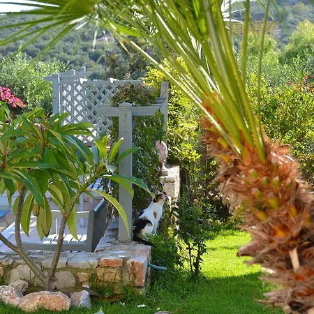Villa West Crete Chania - Europa